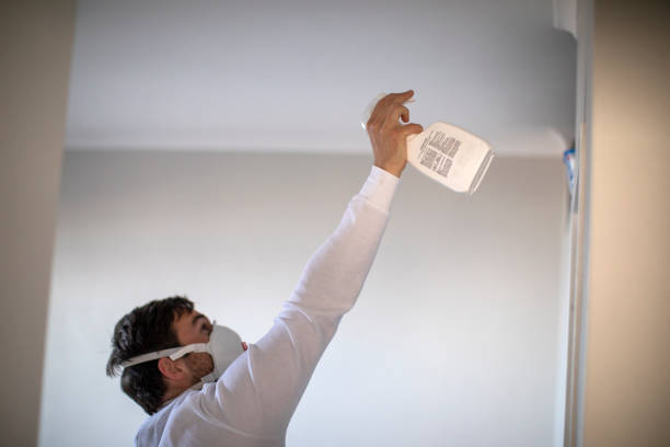 Best Mold Removal Process  in Watauga, TX