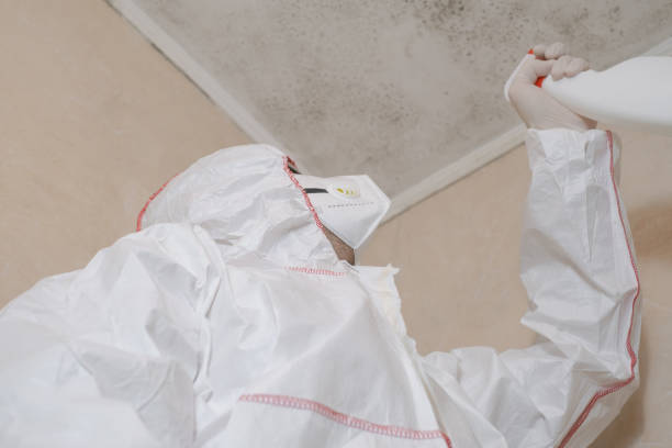 Best Attic Mold Removal  in Watauga, TX