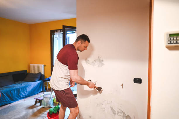Mold Removal Process in Watauga, TX