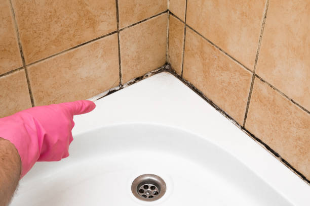 Best Crawl Space Mold Removal  in Watauga, TX